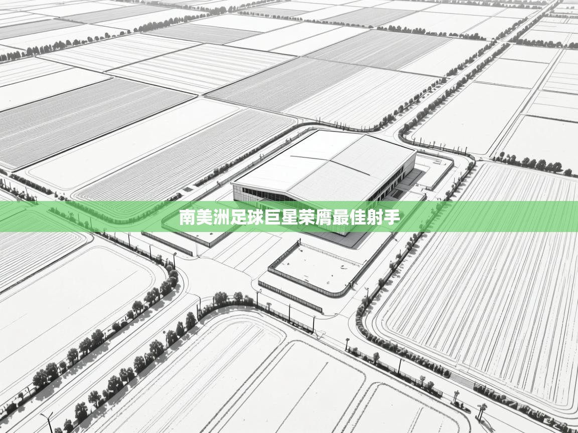 南美洲足球巨星荣膺最佳射手 第1张