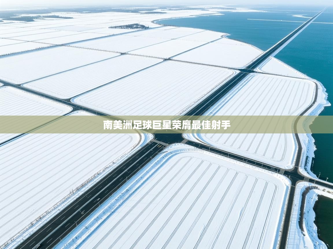 南美洲足球巨星荣膺最佳射手 第2张