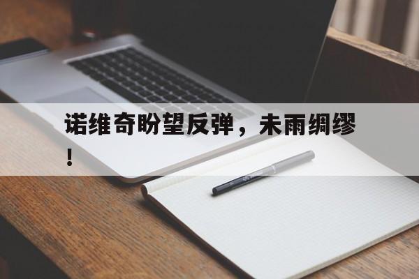 米乐体育在线-诺维奇盼望反弹，未雨绸缪！